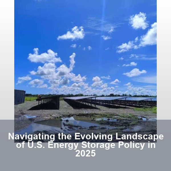 Navigating the Evolving Landscape of U.S. Energy Storage Policy in 2025